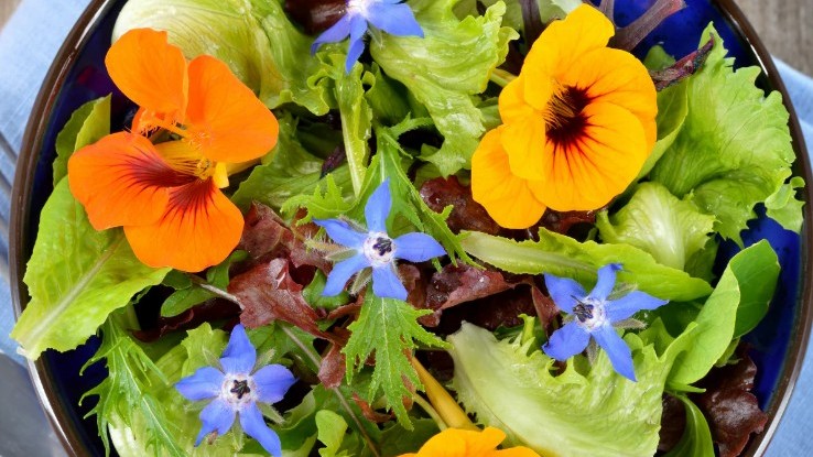 2602 edible flowers.jpg